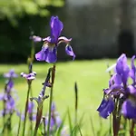 Le Clos Bed & Breakfast Hucqueliers