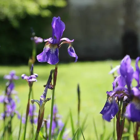 Le Clos Nocleg ze śniadaniem Hucqueliers