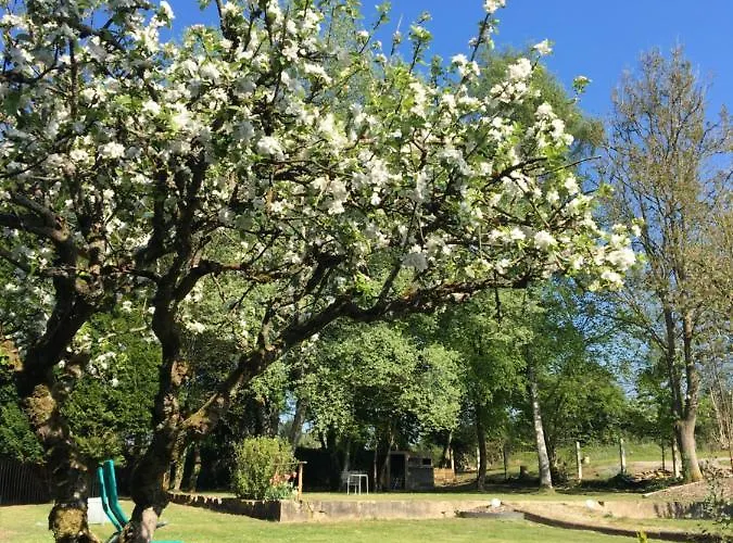 Bed & Breakfast Le Clos Hucqueliers