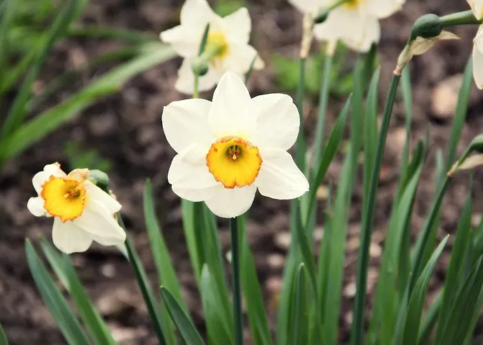 Bed & Breakfast Le Clos 3*